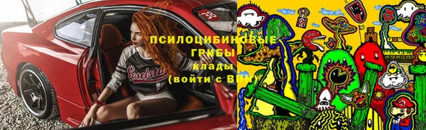 гидропоника Лагань