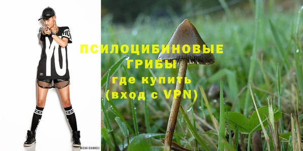 гидропоника Лагань