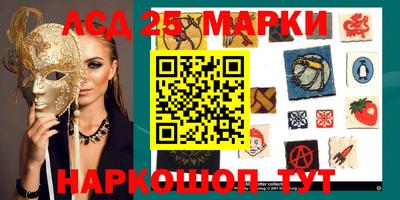 spice Аргун