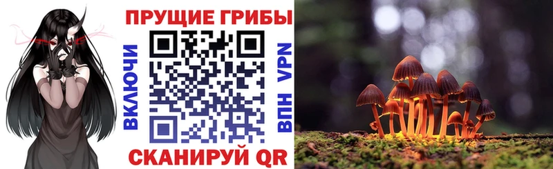 маркетплейс телеграм  Архангельск  Галлюциногенные грибы Cubensis  магазин   