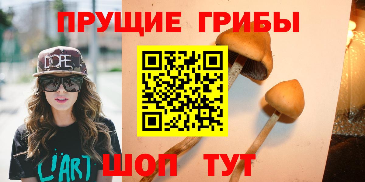Галлюциногенные грибы Psilocybe Архангельск